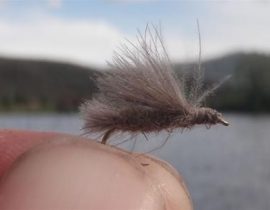 banks-cdccaddis-grey-tan-2