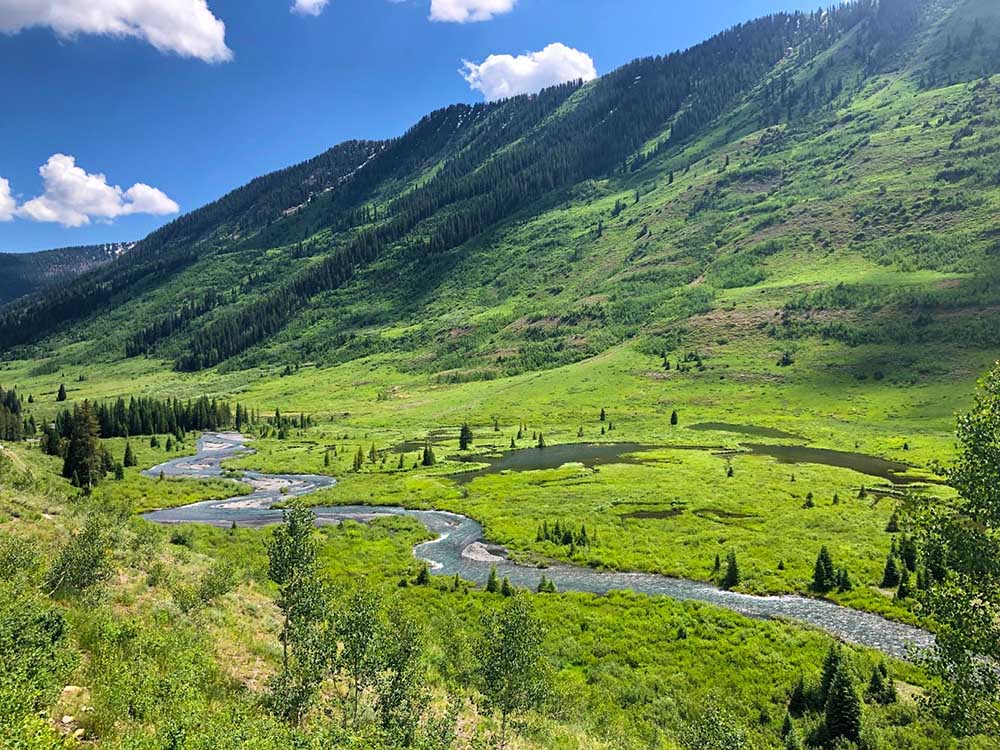 4 Reasons to Ditch the Indicator