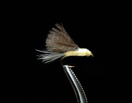 CDC PMD Tailwater Dun